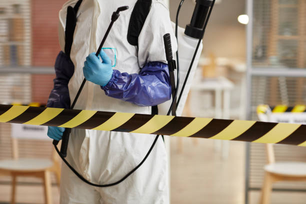 Professional Sewage Cleanup technician working in Milan, MO